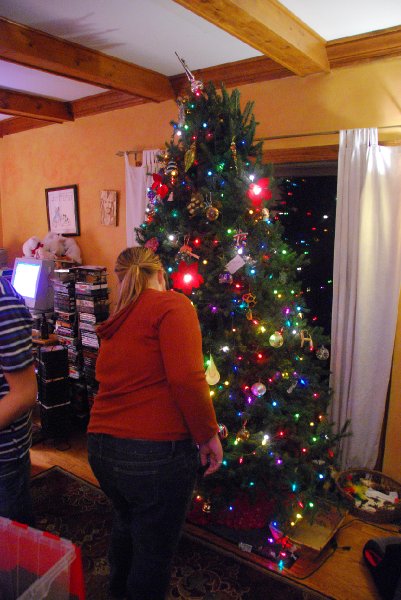 DSC_1911.JPG - Decorating the Christmas Tree
