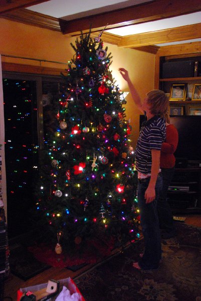 DSC_1913.JPG - Decorating the Christmas Tree