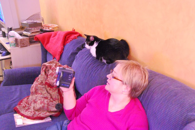 DSC_1915.JPG - Decorating the Christmas Tree