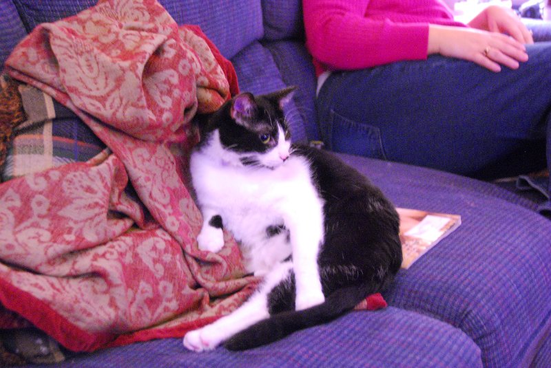 DSC_1929.JPG - JACK KOZIK