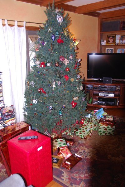 DSC_2026.JPG - Christmas Eve