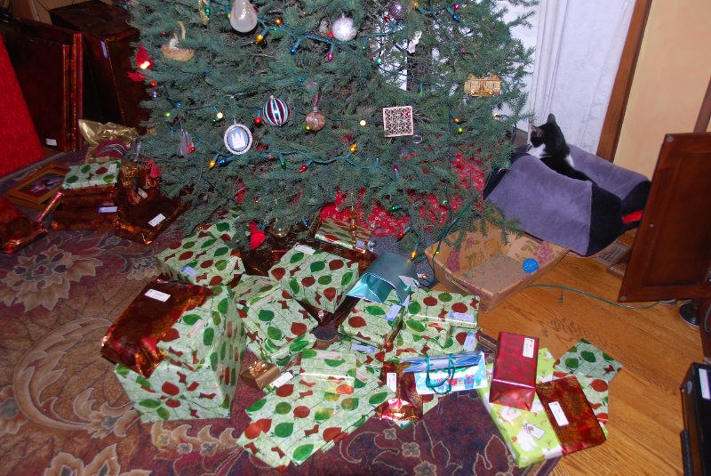 DSC_2028.JPG - Christmas Eve