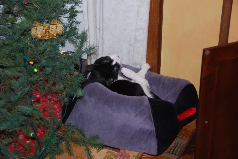 DSC_2029.JPG - Christmas Eve