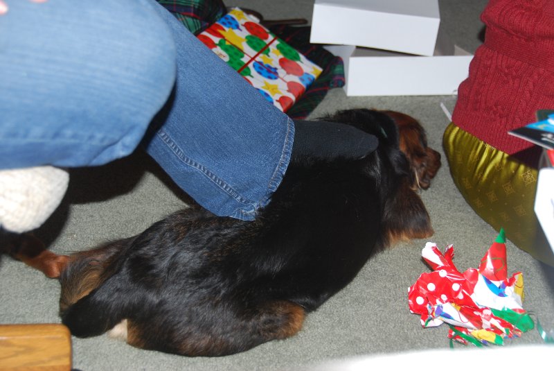 DSC_2077.JPG - Christmas Eve at  Grandma Kozik's