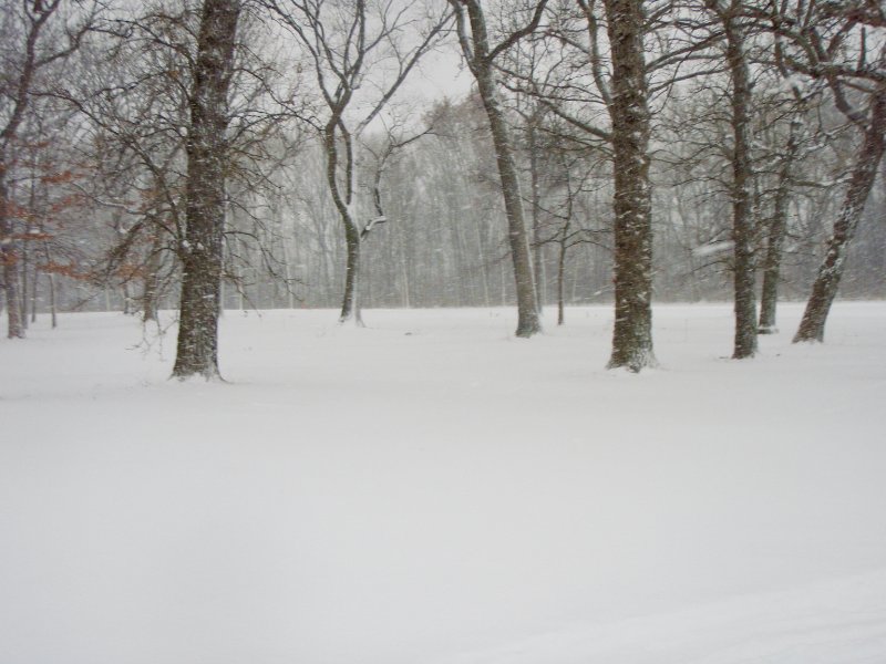 ArrowheadXski011009-1100007.jpg - 8th Tee, Arrowhead West Course