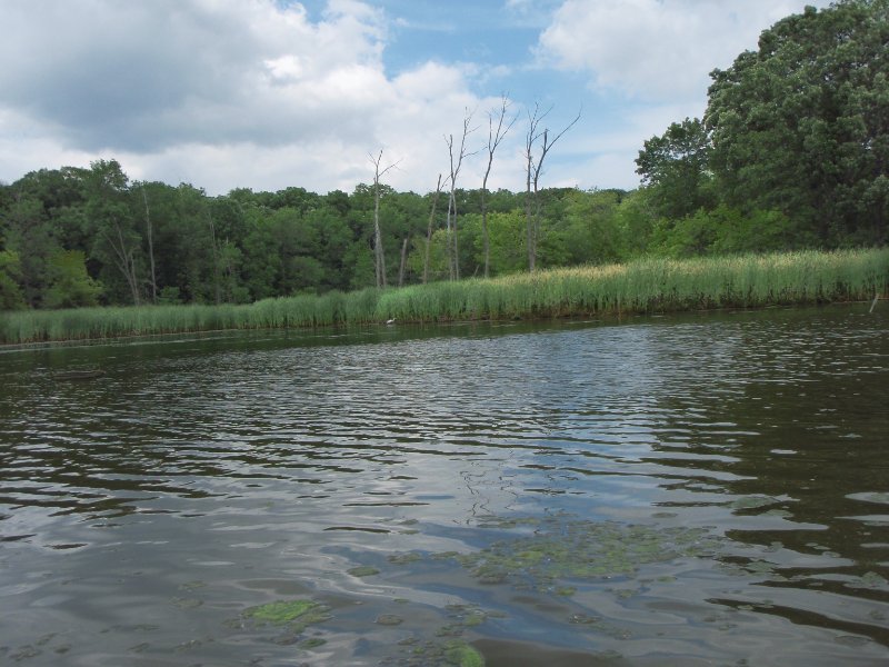 BusseWoodsKayak070309-7030113.jpg - Kayak Busse Lake