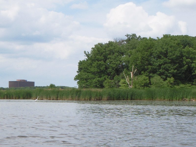 BusseWoodsKayak070309-7030119.jpg - Kayak Busse Lake