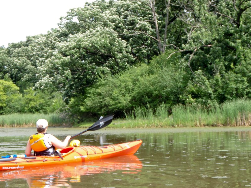 BusseWoodsKayak070309-7030141.jpg - Kayak Busse Lake