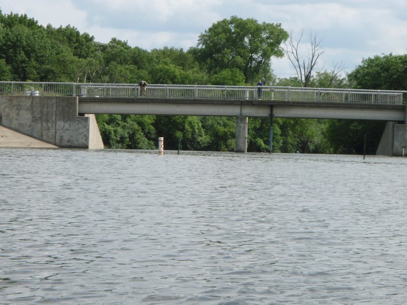 BusseWoodsKayak070309-7030156.jpg - Looking South at Dam feeding Salt Creek