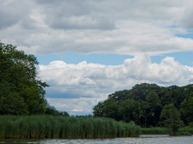 BusseWoodsKayak071809-7180025.jpg - Kayaking Busse Lake