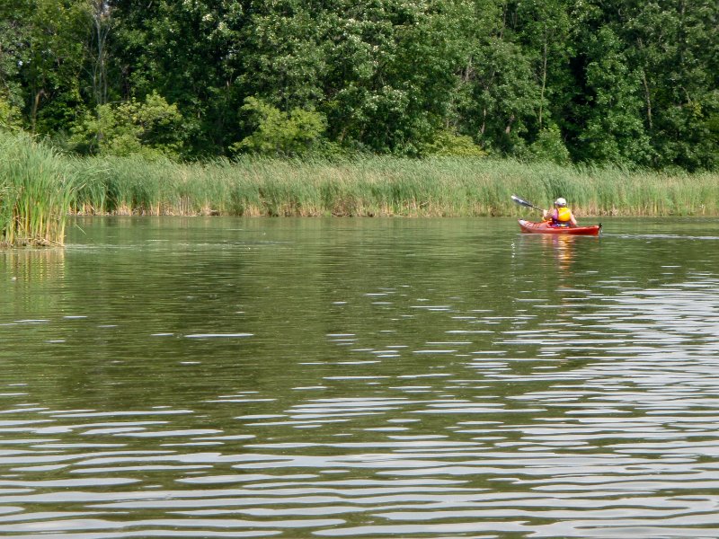 BusseWoodsKayak080809-8080035.jpg - Kayaking Busse Lake