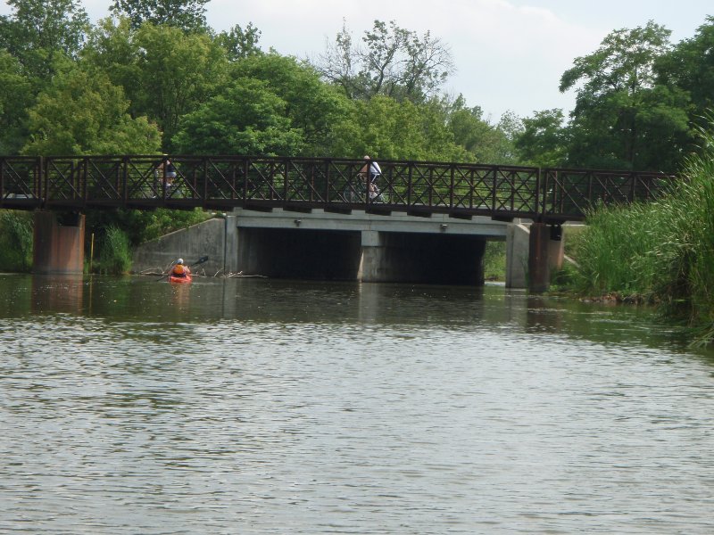 BusseWoodsKayak080809-8080042.jpg - Higgins Road Bridge