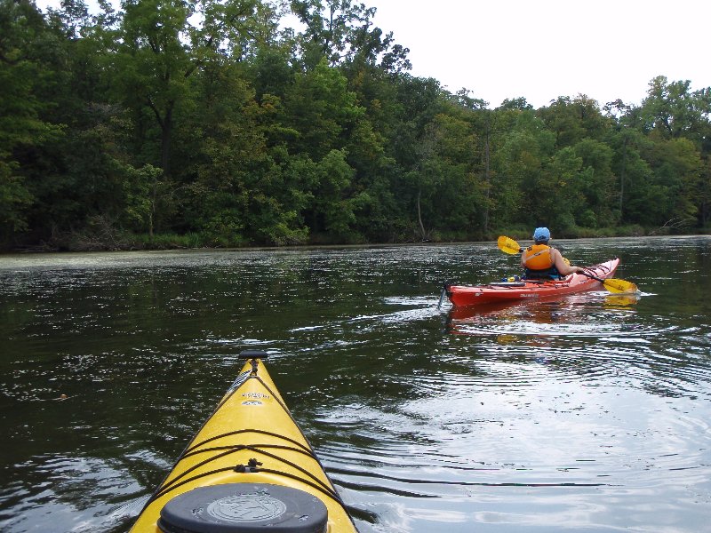 Busse091209-9120039.jpg - Kayaking Busse Woods Forest Preserve