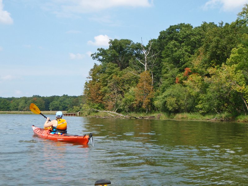Busse091209-9120052.jpg - Kayaking Busse Woods Forest Preserve