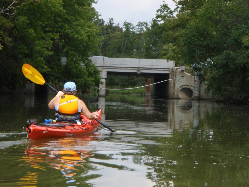 Busse091909-9190015.jpg - Higgins Road Bridge