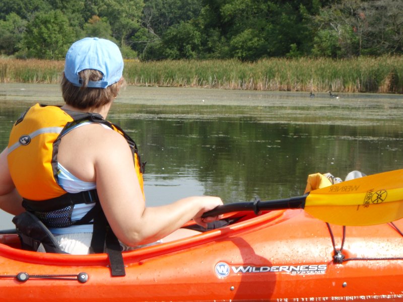 Busse091909-9190045.jpg - Geese