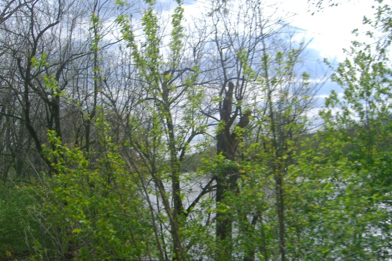 FoxRiverBikeTrail050209-1510.jpg - Fox River BIke Trail