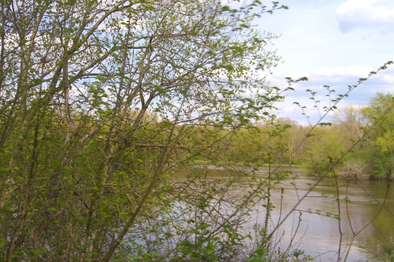 FoxRiverBikeTrail050209-1521.jpg - Fox River BIke Trail