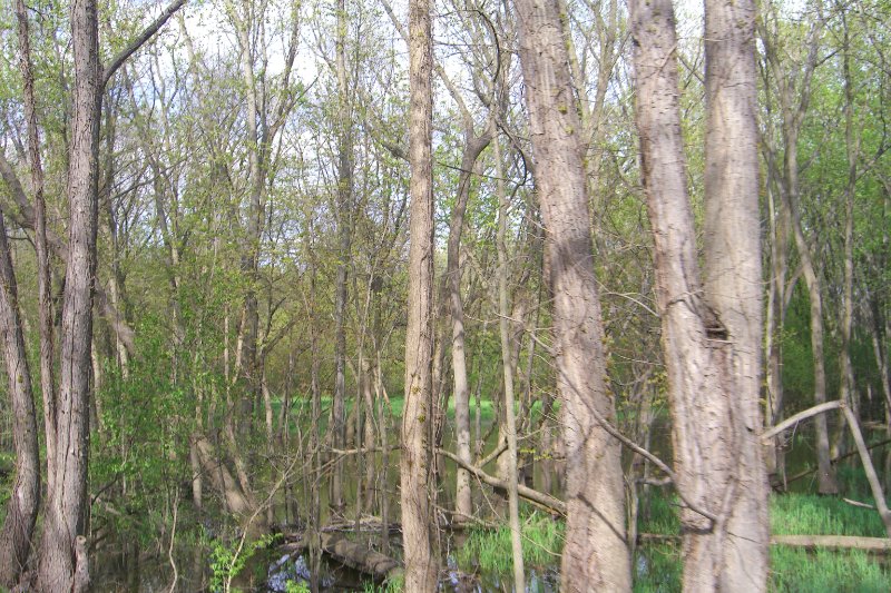 FoxRiverBikeTrail050209-1525.jpg - Fox River BIke Trail