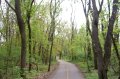 FoxRiverBikeTrail050209-1514