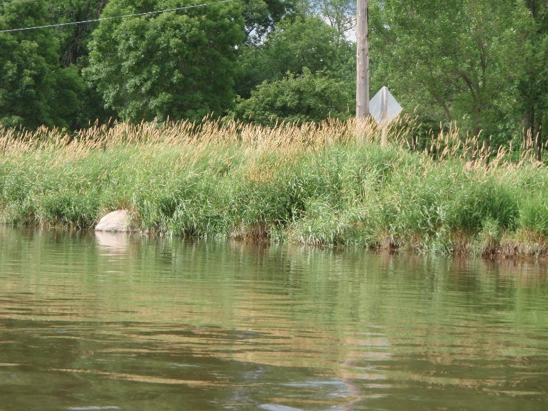 FoxRiverKayak070509-7050015.jpg - Kayak Fox River at Geneva