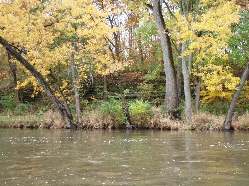 PA240014.jpg - Fox River Kayaking from Sheridan to Wedron