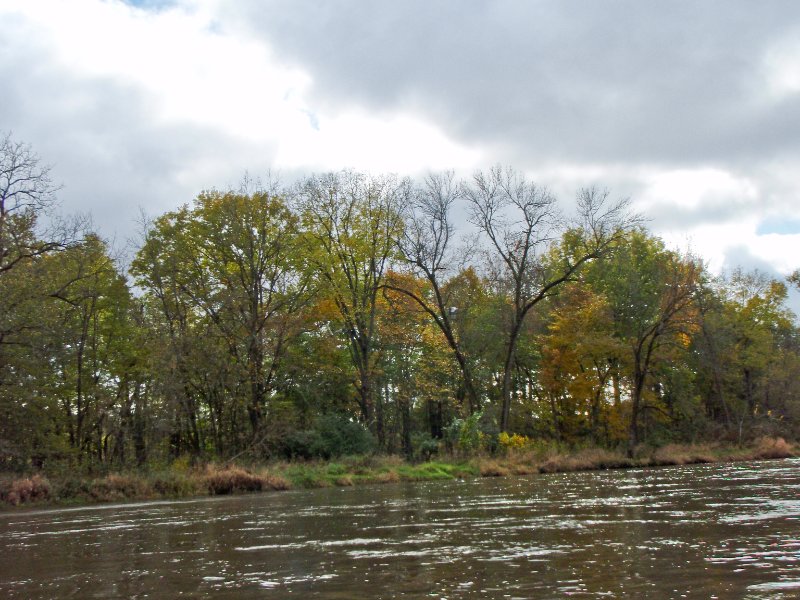 PA240015.jpg - Fox River Kayaking from Sheridan to Wedron
