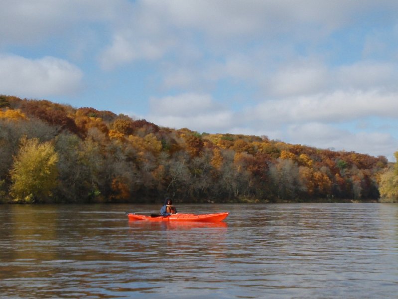 PA240022-2.jpg - Fox River Kayaking from Sheridan to Wedron