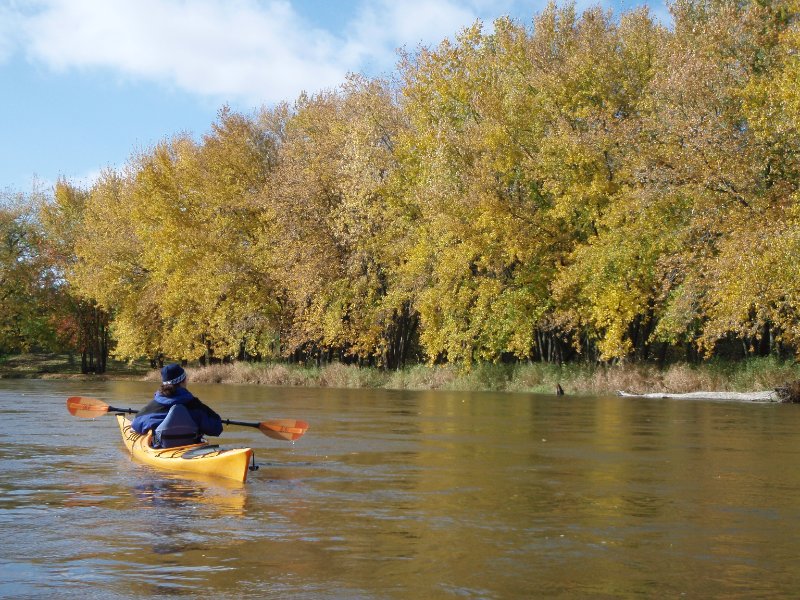 PA240030.jpg - Fox River Kayaking from Sheridan to Wedron