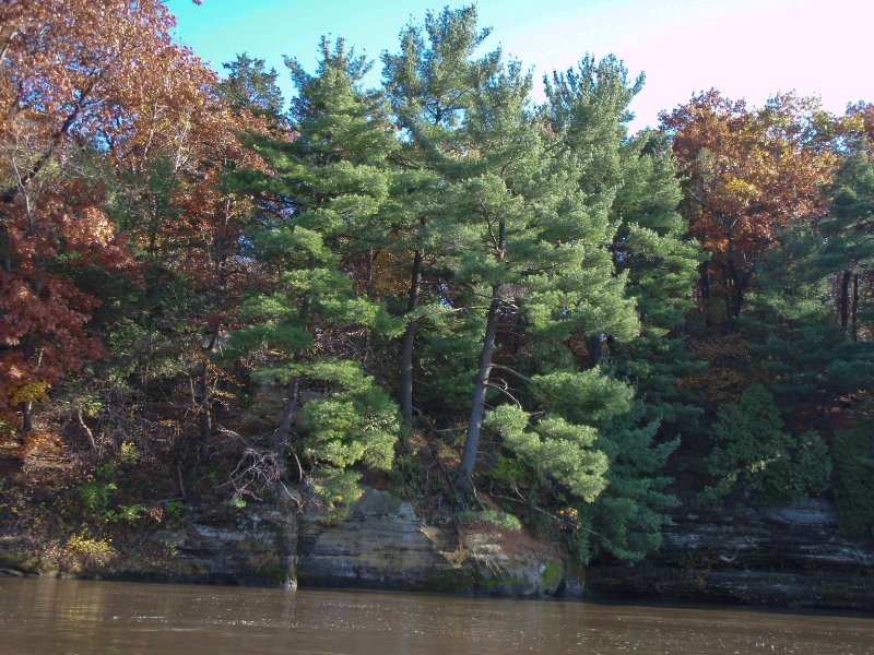 PA240092.jpg - Sandstone bluffs