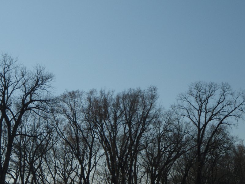 FoxRiverKayak110809-080043.jpg - Kayaking the Fox River from Sheridan to Wedron