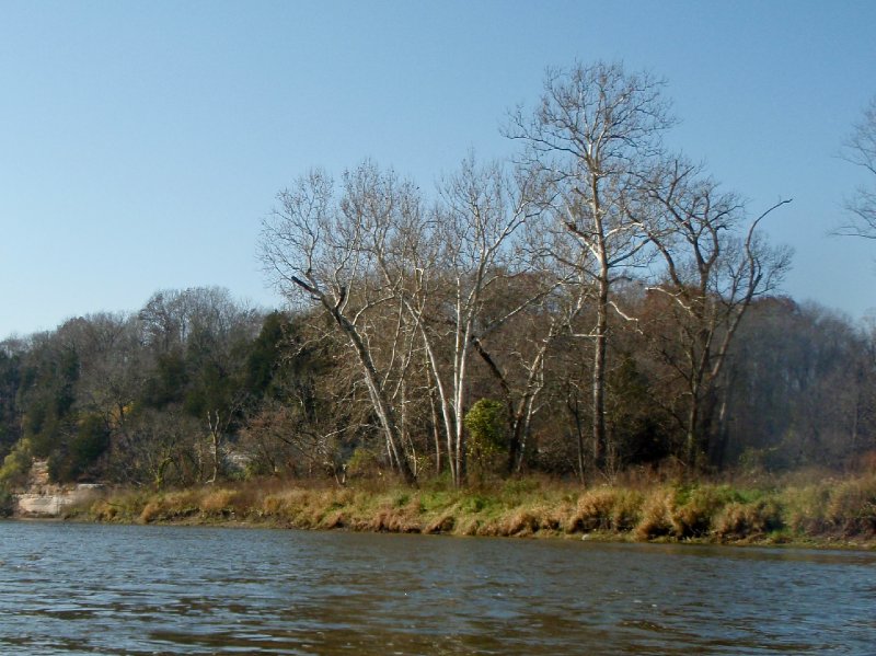 FoxRiverKayak110809-080072.jpg - Kayaking the Fox River from Sheridan to Wedron