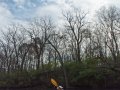 FoxRiverKayak110809-080005