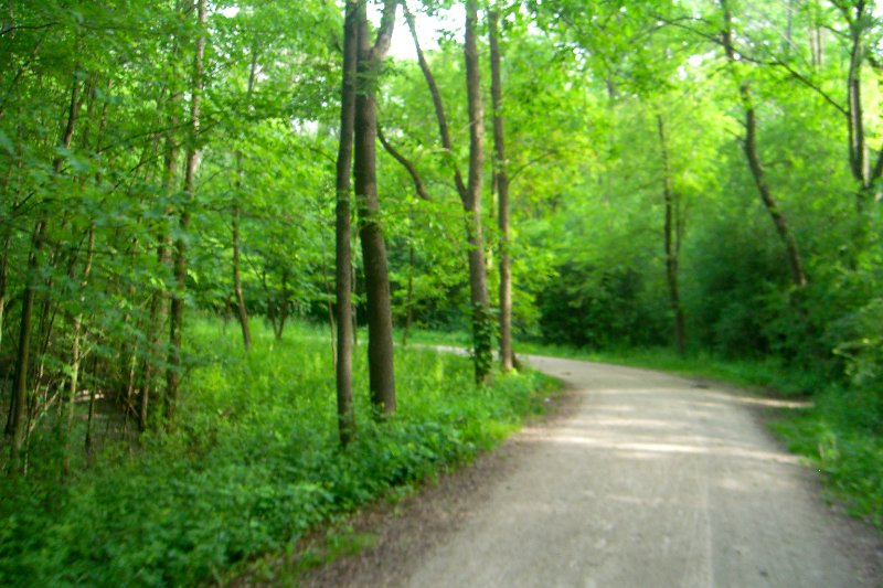 HerrickLakeBike060609-1661.jpg - Herrick Lake Bike Trail