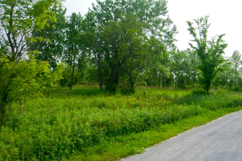 HerrickLakeBike060609-1672.jpg - Herrick Lake Bike Trail