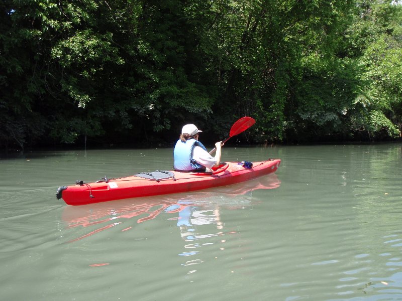 NorthShoreChannel-8020002.jpg - Kayaking North Shore Channel of the Chicago River