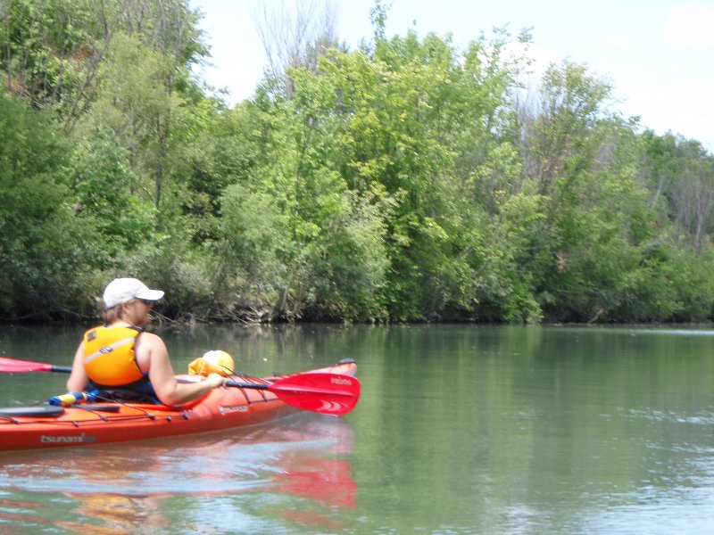 NorthShoreChannel-8020023.jpg - Kayaking North Shore Channel of the Chicago River