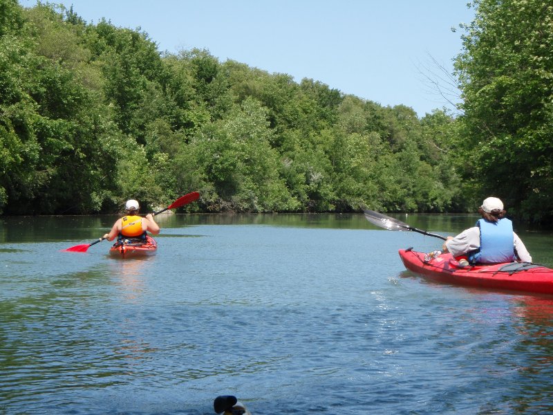 NorthShoreChannel-8020044.jpg - Kayaking North Shore Channel of the Chicago River