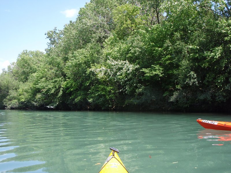 NorthShoreChannel080909-8090009.jpg - Great Blue Heron