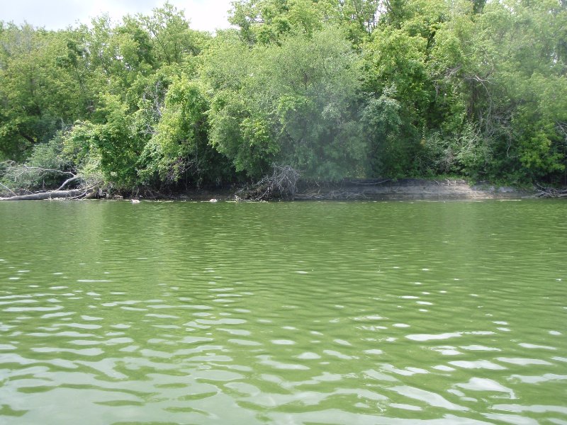 SkokieLagoonsKayak071909-7190007.jpg - Kayaking Skokie Lagoons