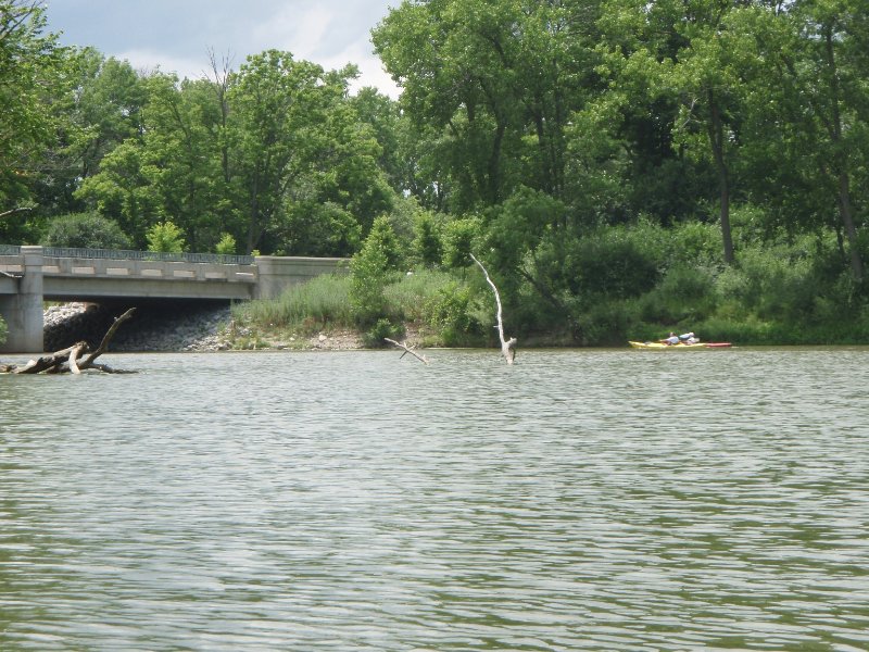 SkokieLagoonsKayak071909-7190017.jpg - Tower Road Bridge