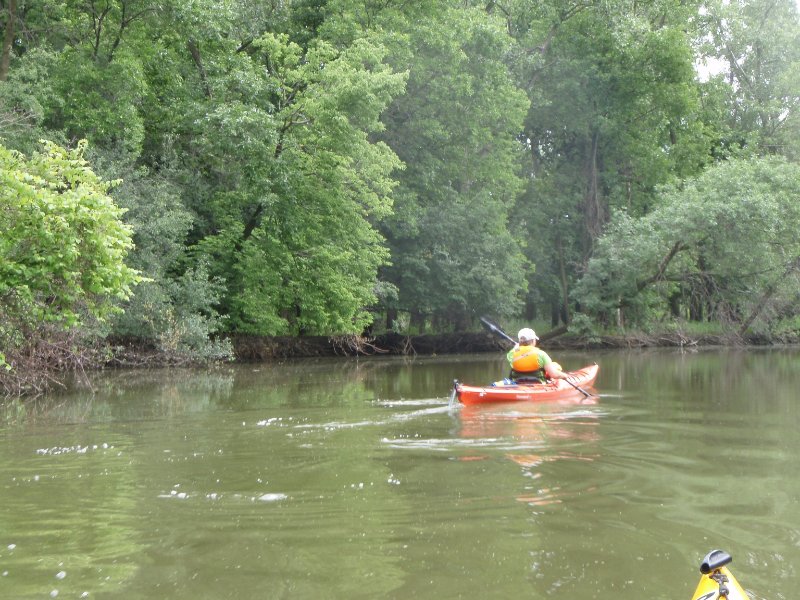 SkokieLagoonsKayak071909-7190039.jpg - Paddling Around the Lagoon 3 Island, the other way