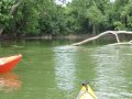 SkokieLagoonsKayak071909-7190010
