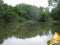 SkokieLagoonsKayak071909-7190046