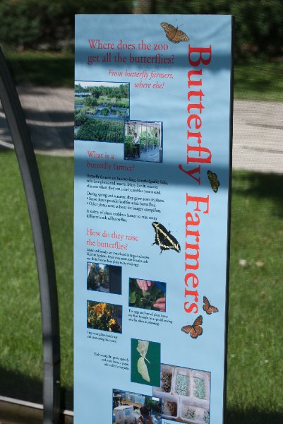 BrookfieldZoo062809-7545.jpg - Butterfly Farmers.  Where does the zoo get all the butterflies?  From butterfly farmers, where else!