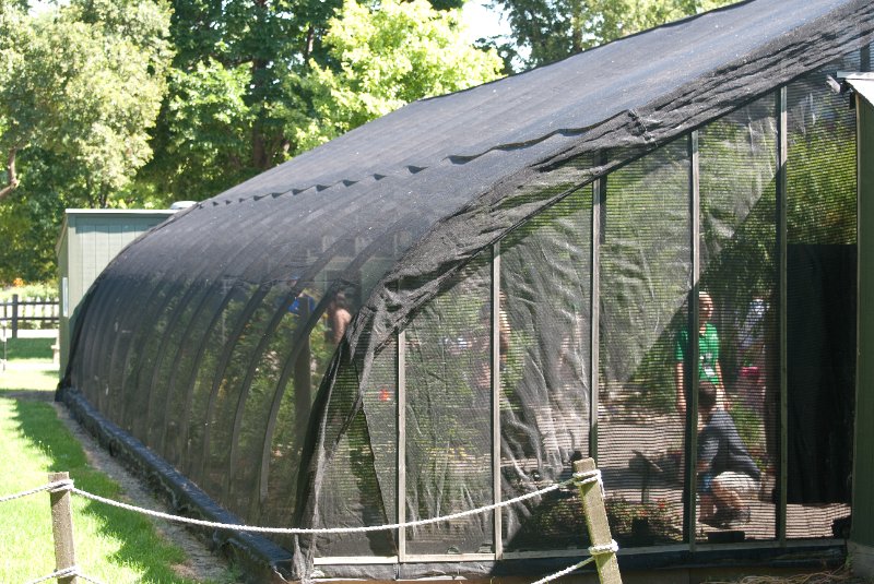 BrookfieldZoo062809-7548.jpg - Butterfly Garden
