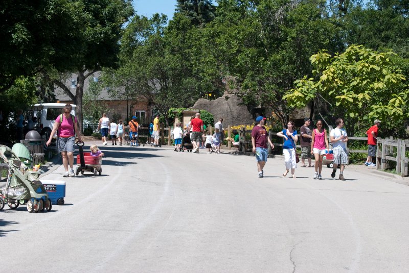 BrookfieldZoo062809-7640.jpg - The Fragile Kingdom walkway