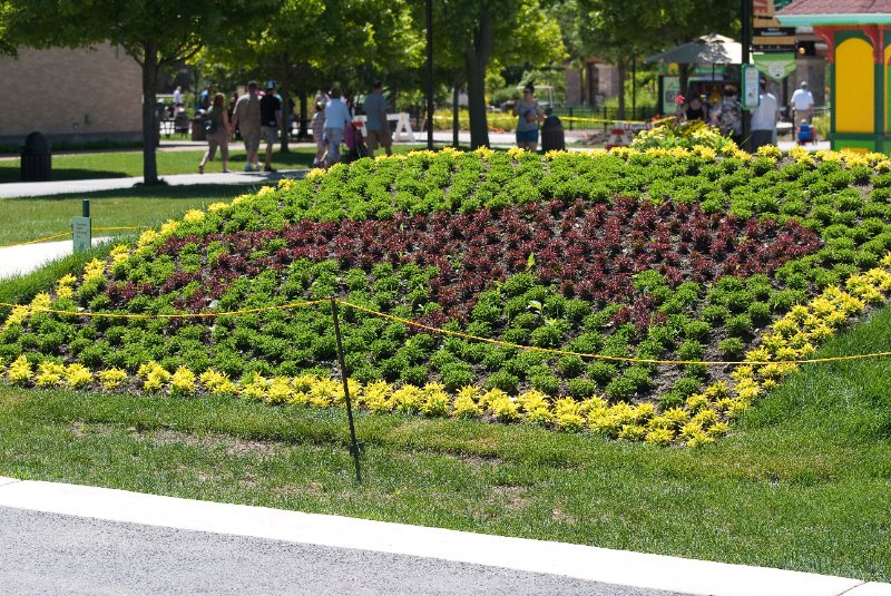 BrookfieldZoo062809-7643.jpg - Chicago Zoological Society Signature Buffalo