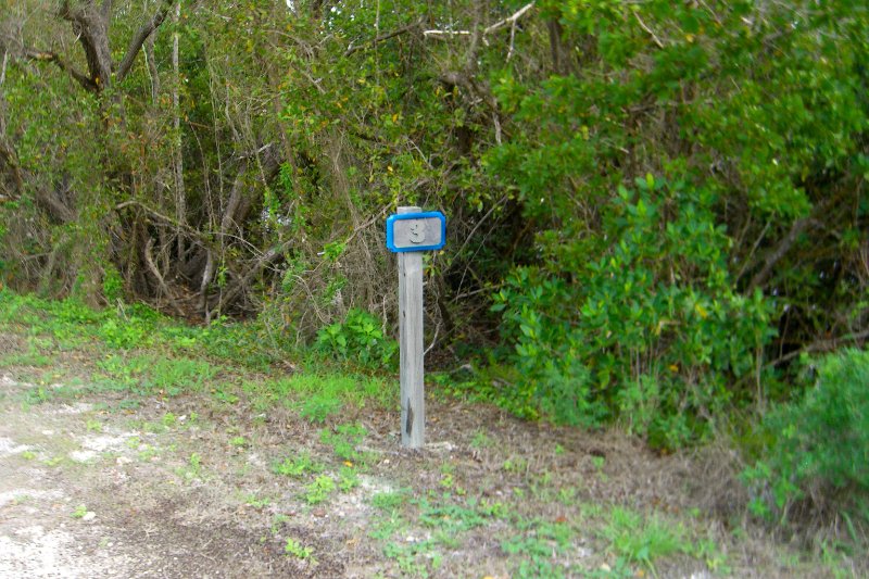 Captiva052409-1636.jpg - Wildlife Drive