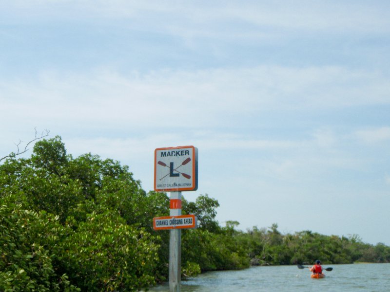 Captiva052409-5270013.jpg - Kayaking from McCarthy Marina to Blind Pass